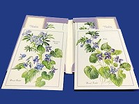 Wild Violets Cards (WV-10)
